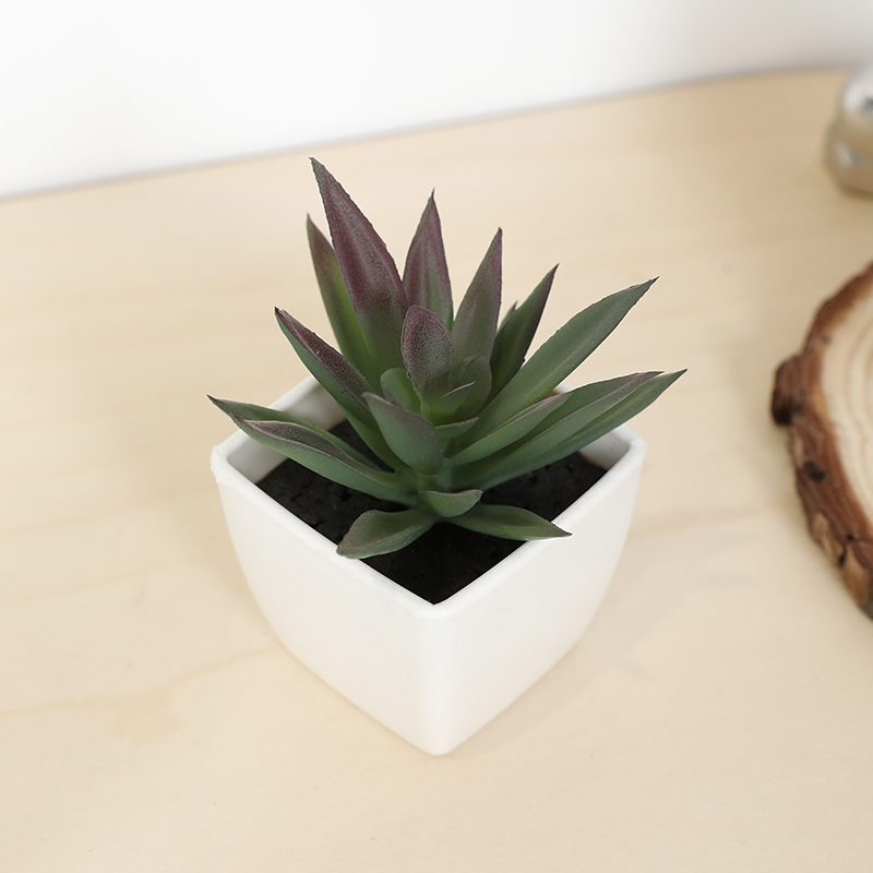Plant Desk Mini - Мини-искусственная суккулентная сказочная чашка, маленькое растение