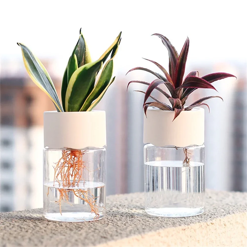 Мини-гидропонный цветочный гор – обзор и цена Plant Desk Mini