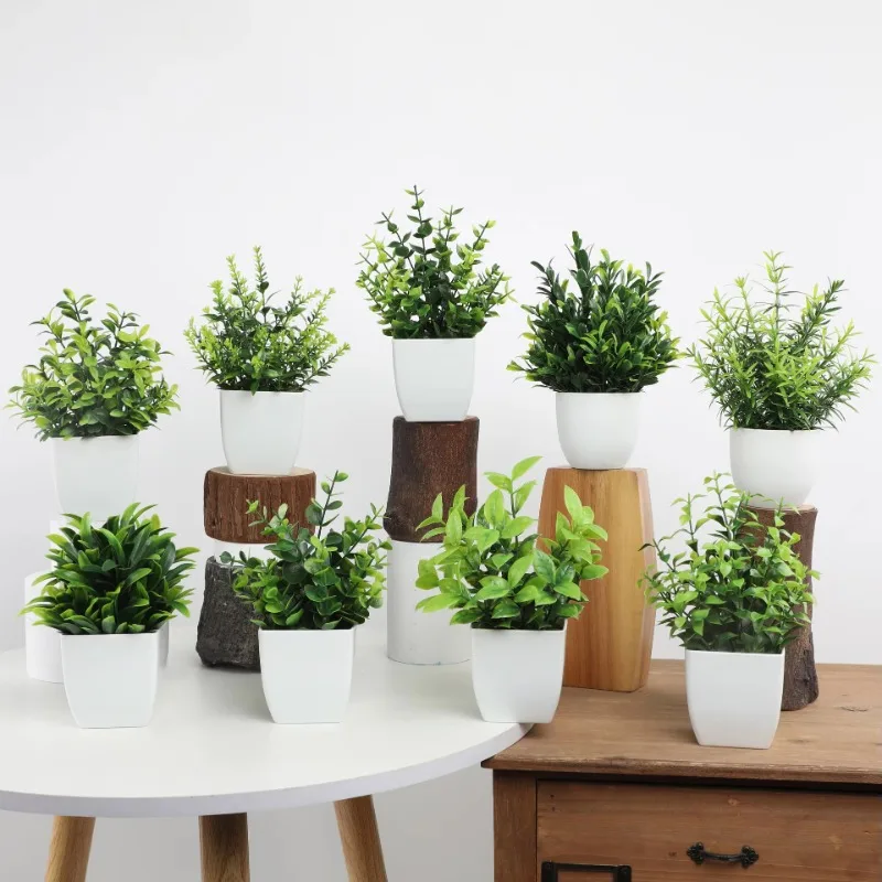 Оптовая продажа OEM/ODM искусс – обзор и цена Plant Desk Mini