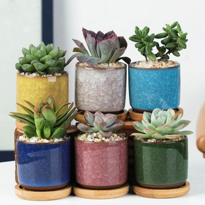 6 шт./компл., керамический цве – обзор и цена Plant Desk Mini
