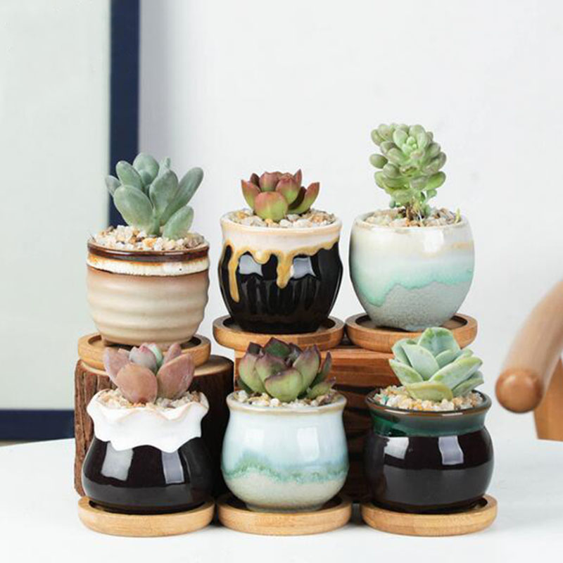 6 шт./компл., керамический цве – обзор и цена Plant Desk Mini