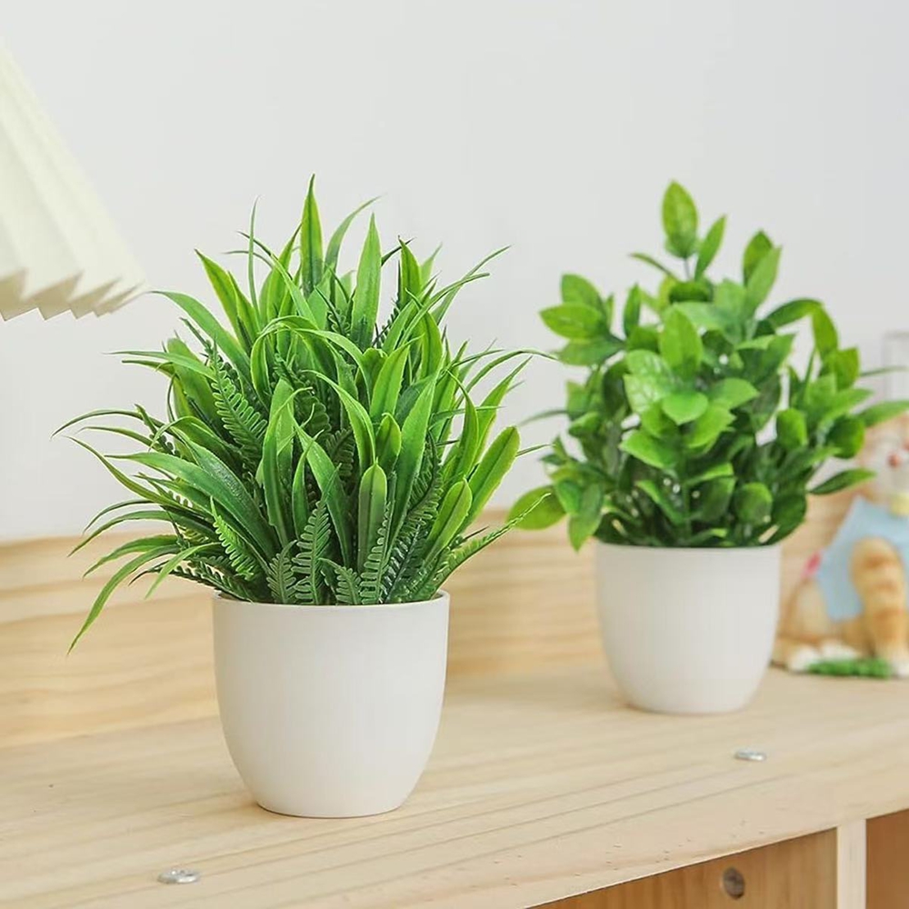 Набор из 4 миниатюрных искусст – обзор и цена Plant Desk Mini