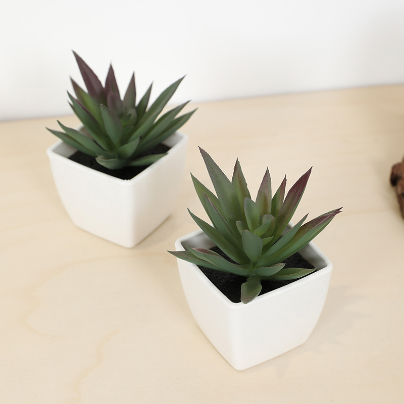 Мини-искусственная суккулентна – обзор и цена Plant Desk Mini
