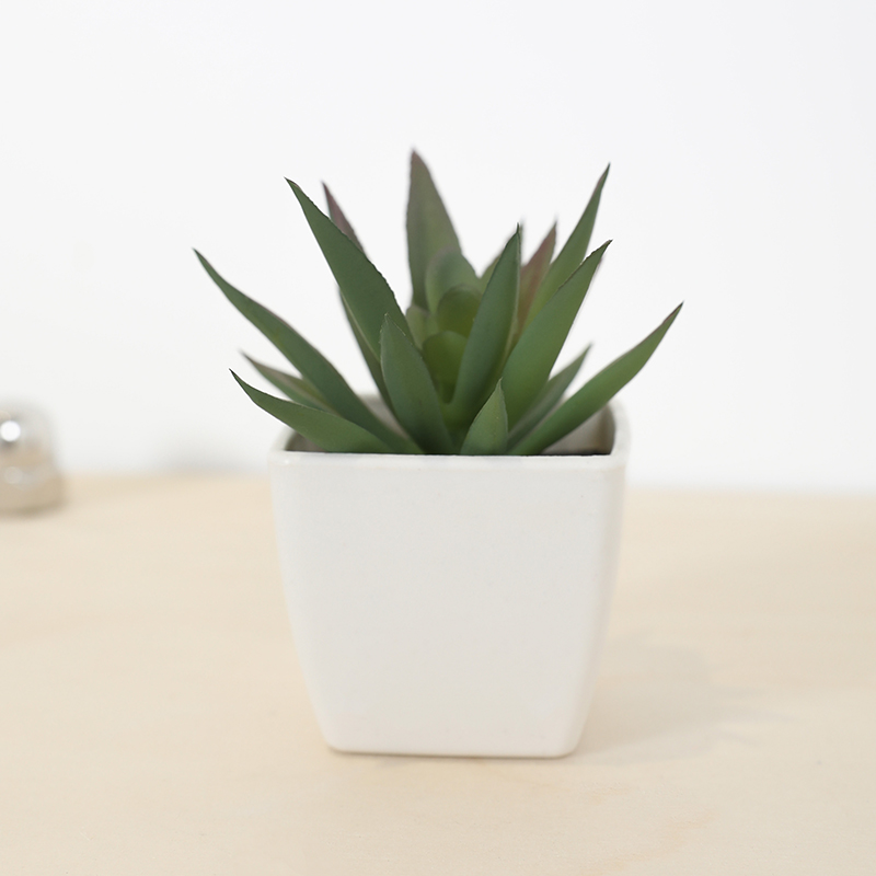 Мини-искусственная суккулентна – обзор и цена Plant Desk Mini